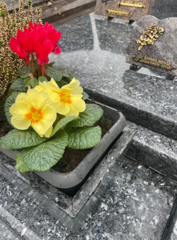 Avec le retour du beau temps, offrez un entretien soigné aux sépultures de vos proches